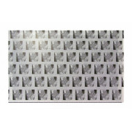 Клеевая пластина для ловушки WELL WE-813-SB30/60S Клеевая пластина для ловушки WELL WE-813-SB30/60S