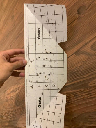 Лампа от комаров "Genus Illume LED Galaxy White"