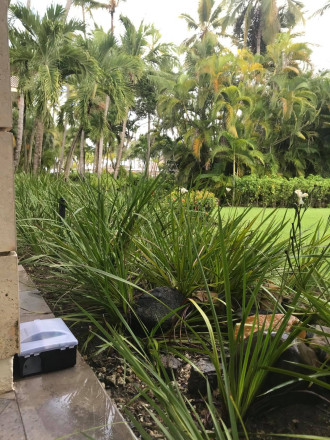 Приманочный контейнер с прозрачной крышкой "Curve Ro-Bait Transparent" Приманочный контейнер с прозрачной крышкой "Curve Ro-Bait Transparent"