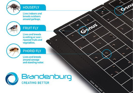 Клеевая пластина "Universal Easy Count TM" Brandenburg (Великобритания) Клеевая пластина "Universal Easy Count TM" Brandenburg (Великобритания)