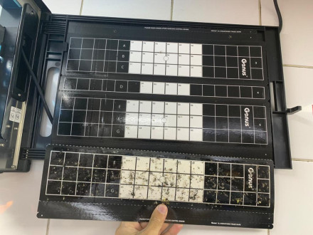 Клеевая пластина "Universal Easy Count TM" Brandenburg (Великобритания) Клеевая пластина "Universal Easy Count TM" Brandenburg (Великобритания)